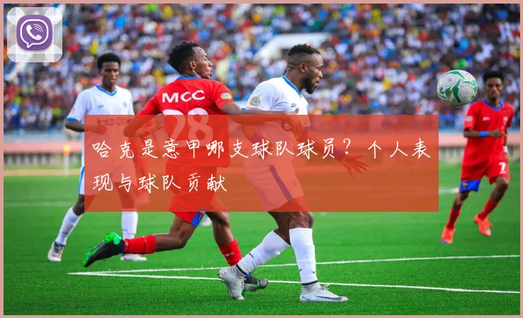 哈克是意甲哪支球队球员？个人表现与球队贡献