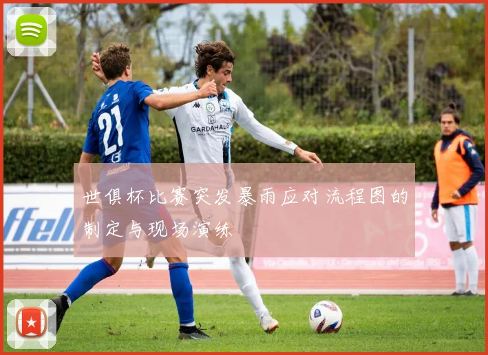 世俱杯比赛突发暴雨应对流程图的制定与现场演练