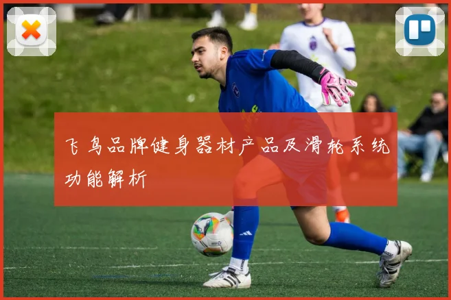 飞鸟品牌健身器材产品及滑轮系统功能解析
