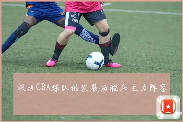 深圳CBA球队的发展历程和主力阵容