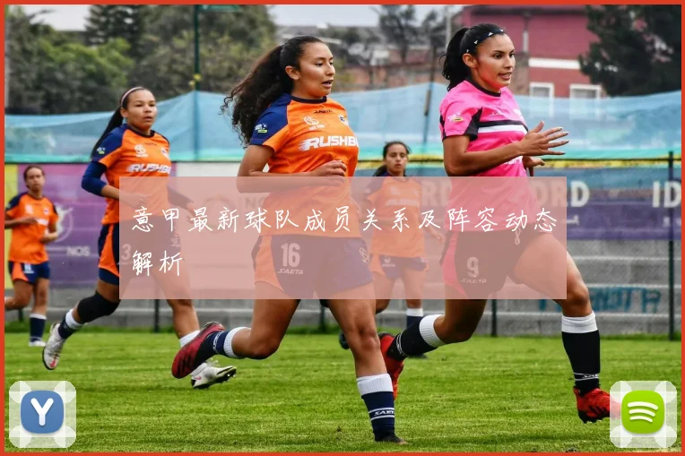 意甲最新球队成员关系及阵容动态解析
