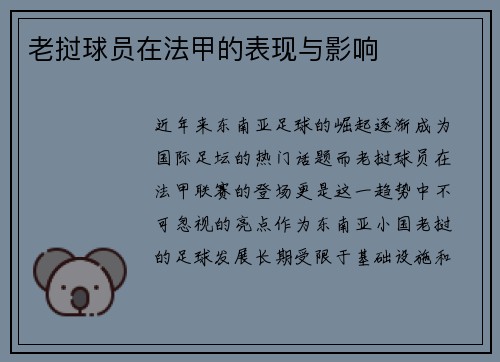 老挝球员在法甲的表现与影响