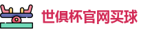 2025世界俱乐部杯